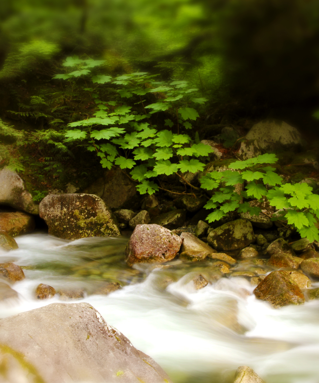 environment2