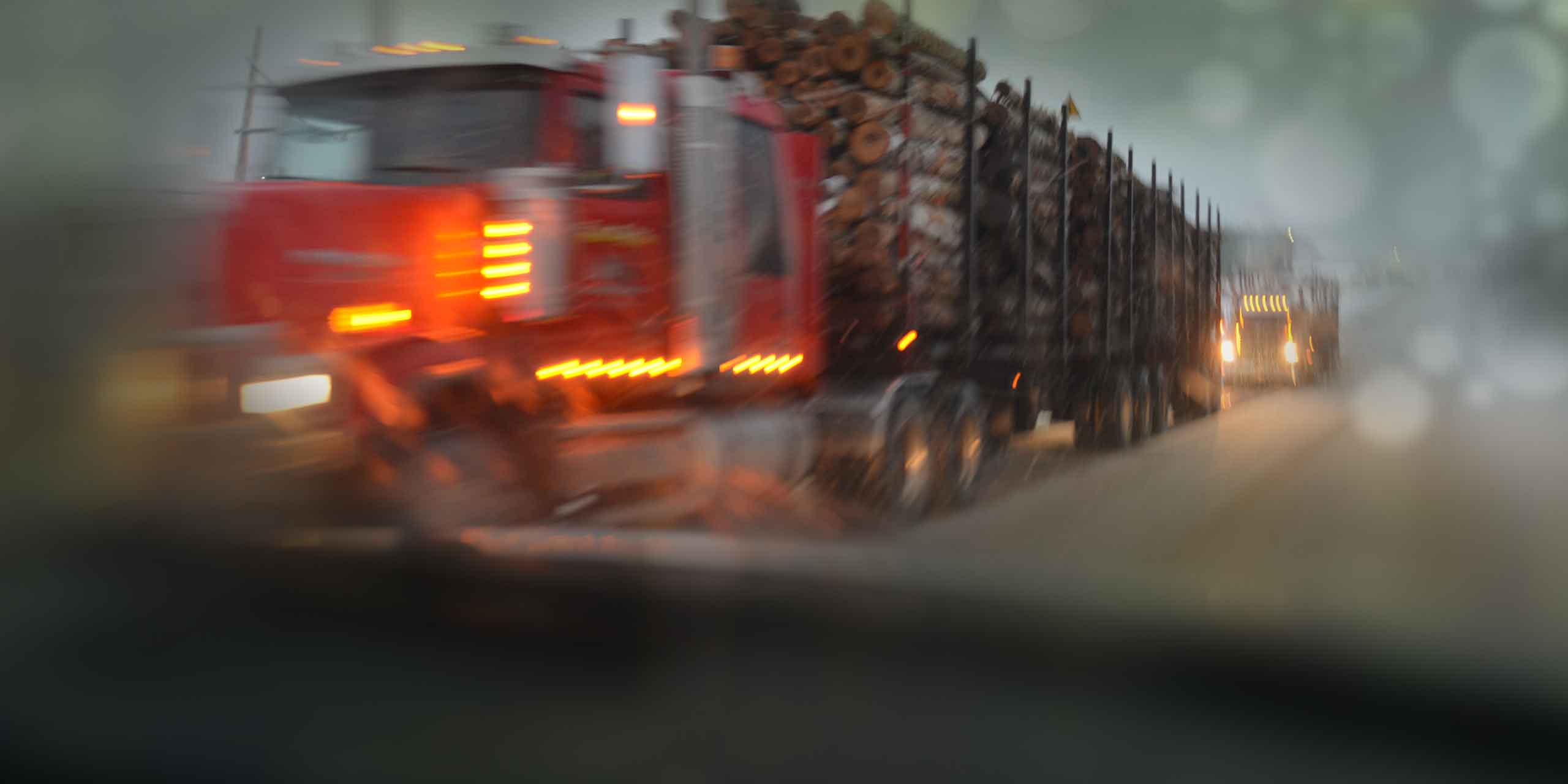 Hardwood lumber you can count on. Day in. Day out.