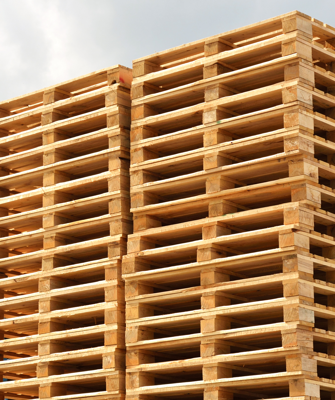 groupe_pallet