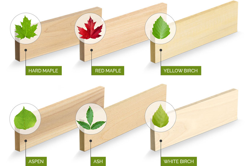 wood-species